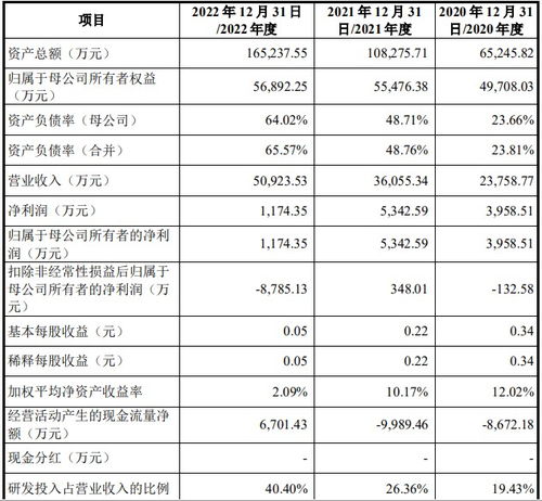 中科飞测启动申购 国产集成电路检测设备迈入28nm时代